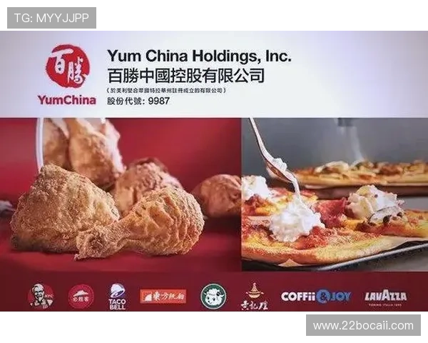 全面了解百胜公司：发展历程与业务概况