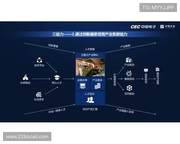 探索白菜项目社区：共享知识与资源的创新平台